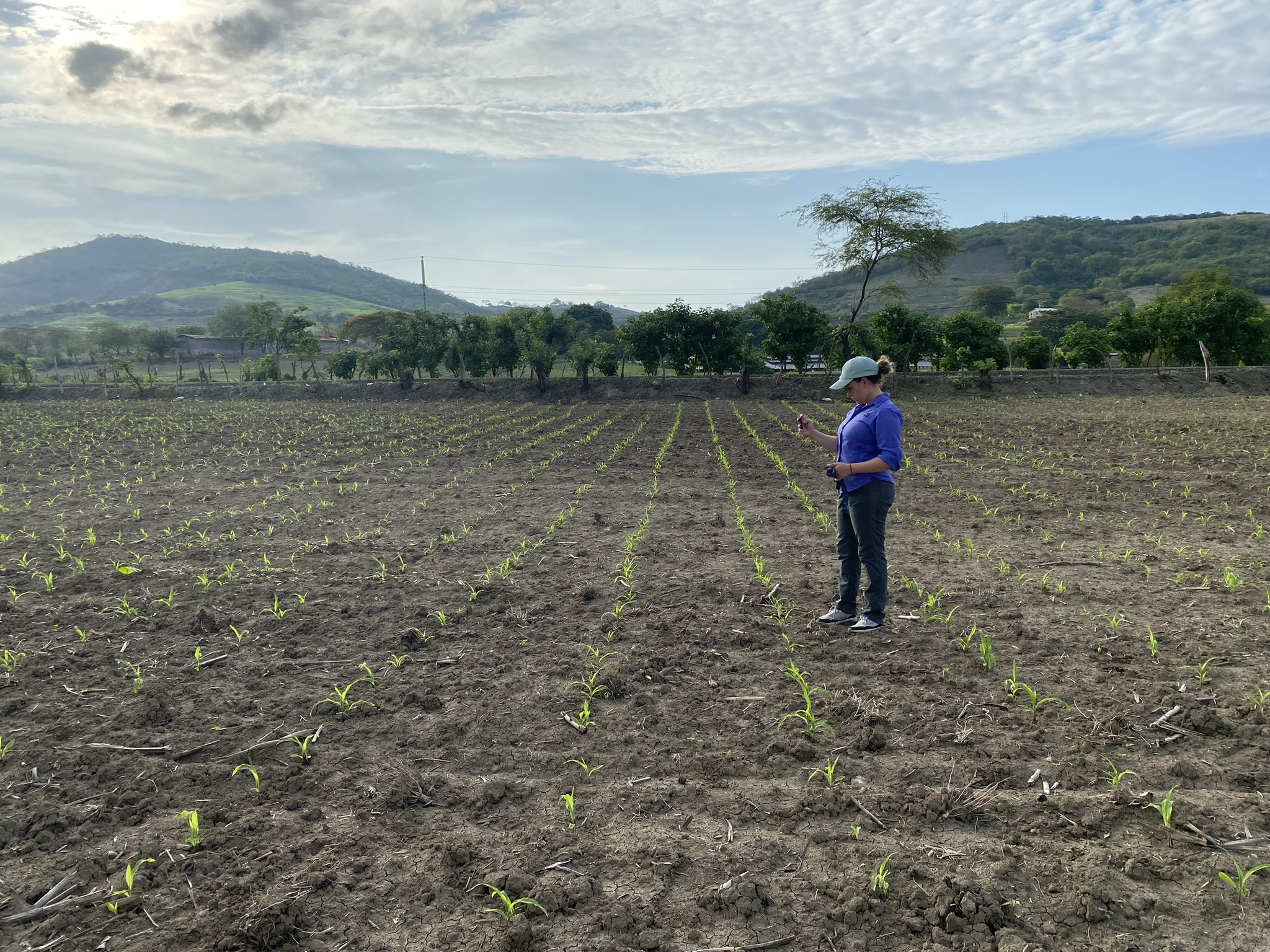 Agronoma Yara en campo