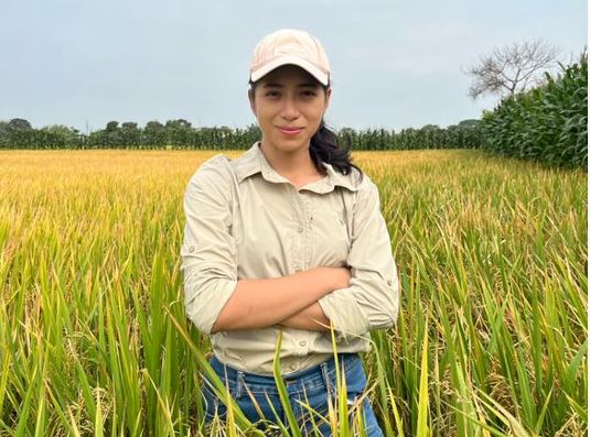 agricultura arroz